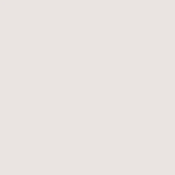 RAL 7035 PERFECT GREY